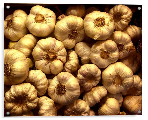 Fresh Garlic Acrylic by Thomas Grob