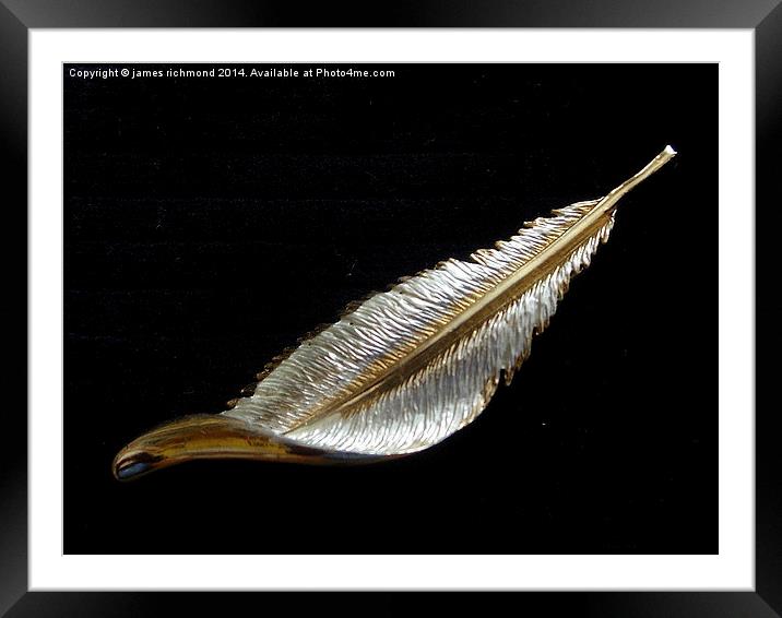 Feather on Black Framed Mounted Print by james richmond