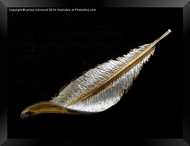 Feather on Black Framed Print by james richmond