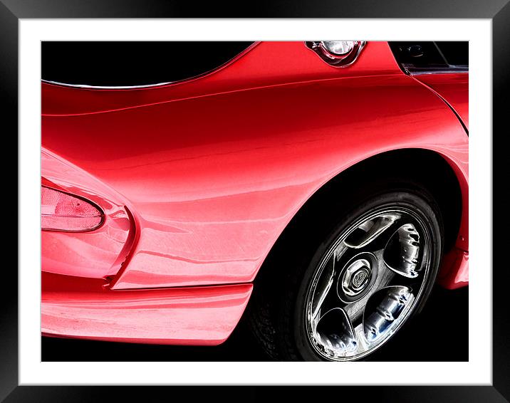 Viper Framed Mounted Print by Mary Lane