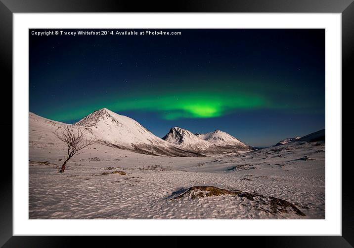 Aurora in the Mountains II Framed Mounted Print by Tracey Whitefoot