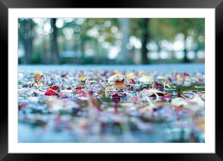 Autumn Leaves Framed Mounted Print by Andrew Tait