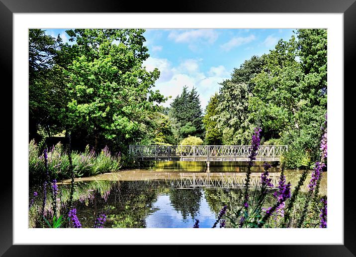 A secluded lake in Birkenhead Park Framed Mounted Print by Frank Irwin