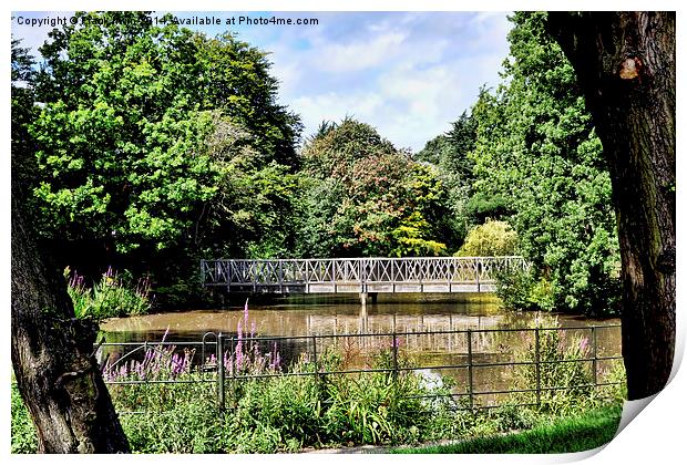 A secluded lake in Birkenhead Park Print by Frank Irwin