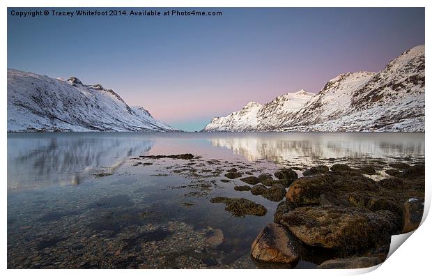Ersfjordbotn Reflections Print by Tracey Whitefoot