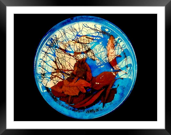 Leaves and Reflections Framed Mounted Print by Bill Lighterness