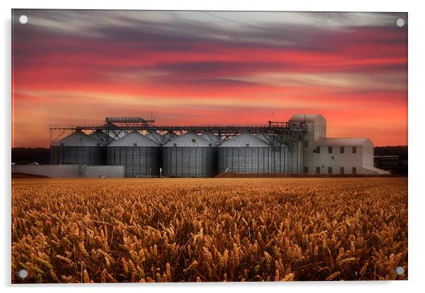Sunrise over the grain store Acrylic by Robert Fielding