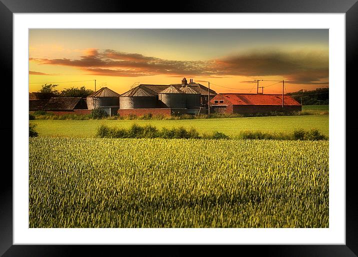 The old farm Framed Mounted Print by Robert Fielding