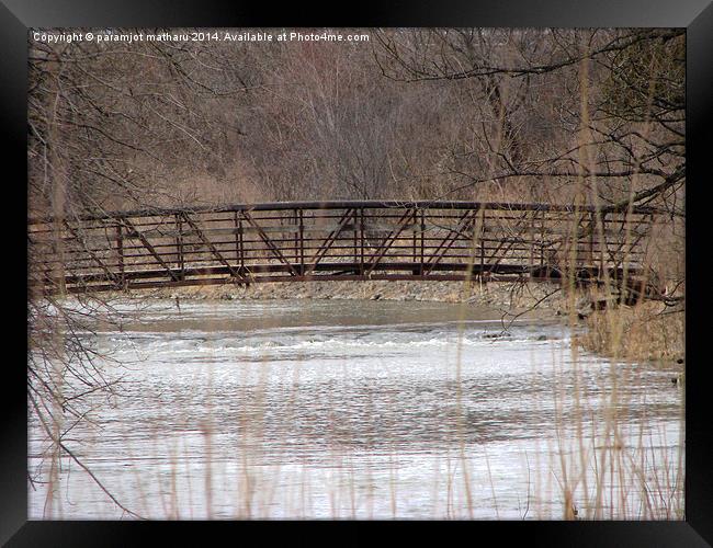 Bridge Framed Print by paramjot matharu