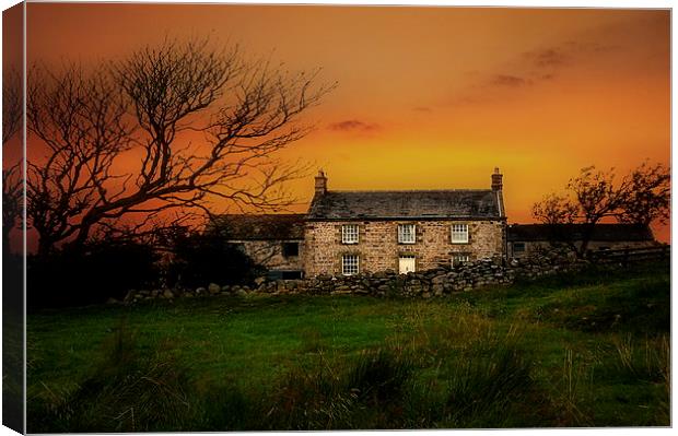 Country life on Hadrian s wall Canvas Print by Robert Fielding