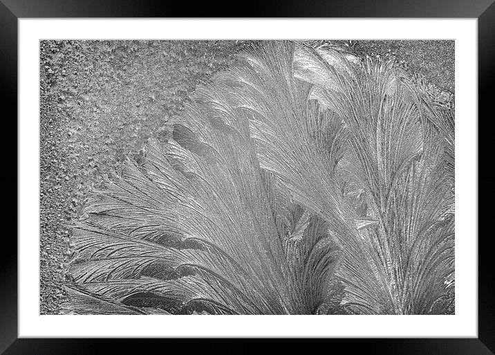 Frost Designs 1 Framed Mounted Print by Mary Lane