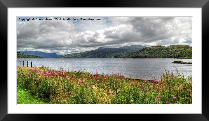 Loch Katrine Framed Mounted Print by Diana Mower