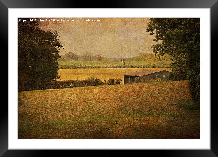 Field Barn Framed Mounted Print by Julie Coe