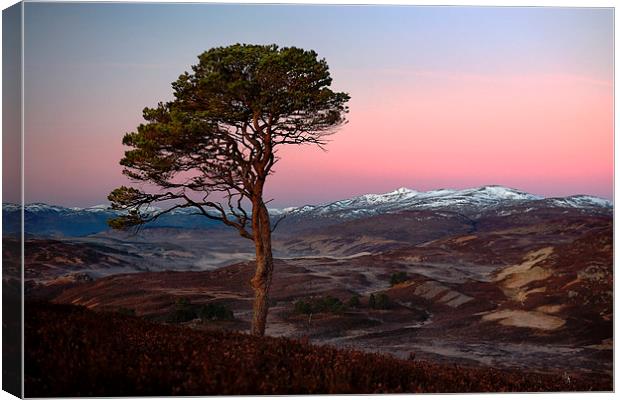 Winters Dawn Canvas Print by Macrae Images