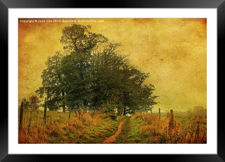 Walking In October Framed Mounted Print by Julie Coe