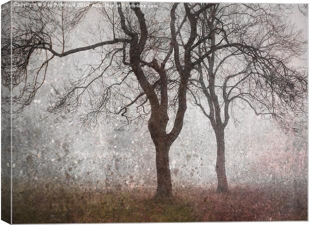Trees In The Mist Canvas Print by Ray Pritchard