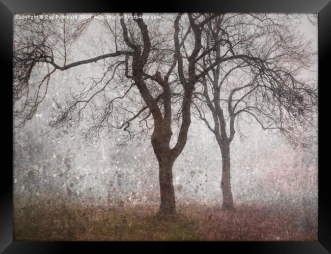 Trees In The Mist Framed Print by Ray Pritchard