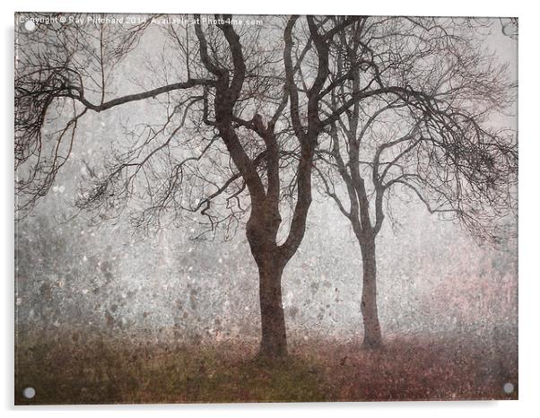 Trees In The Mist Acrylic by Ray Pritchard