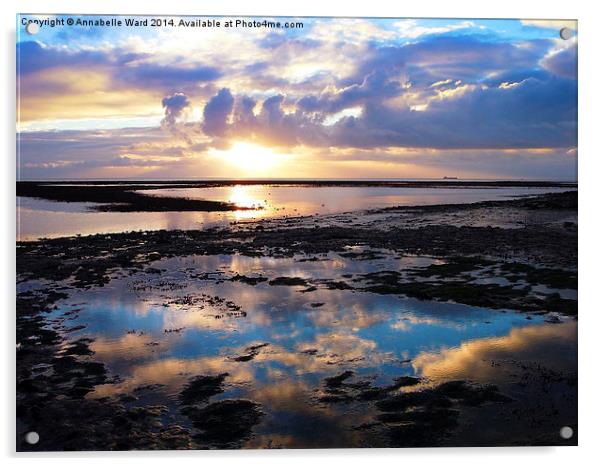 Sea Sunrise Reflection Acrylic by Annabelle Ward