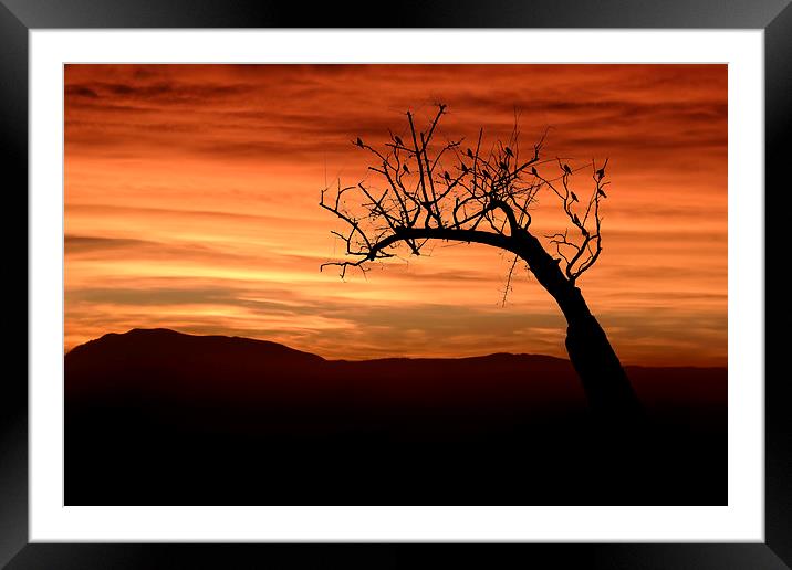 Silhouette Framed Mounted Print by Guido Parmiggiani