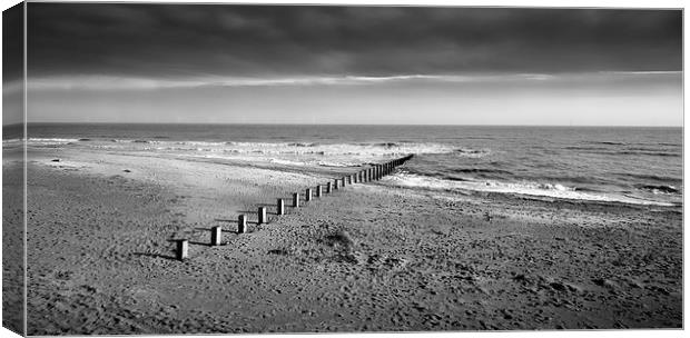 Skegness beach poles Canvas Print by Leighton Collins