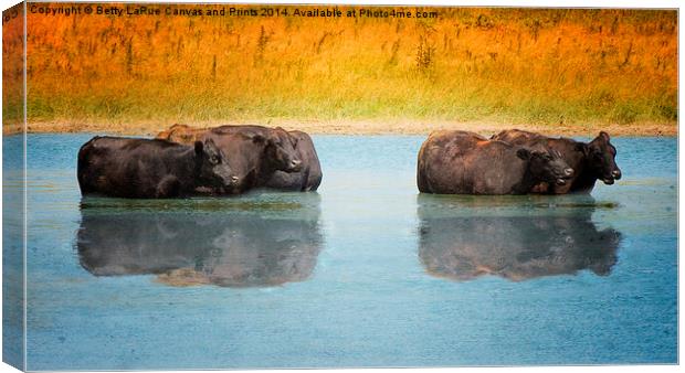 Hot Day Canvas Print by Betty LaRue