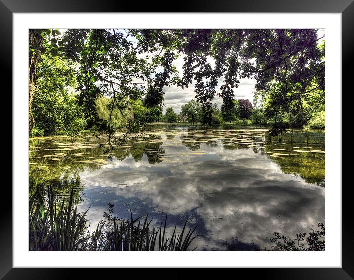 Reigate Priory Lake Framed Mounted Print by Andy Huntley