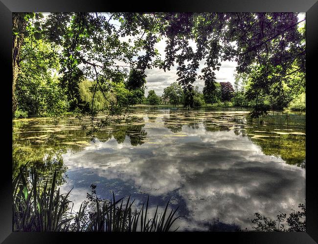 Reigate Priory Lake Framed Print by Andy Huntley