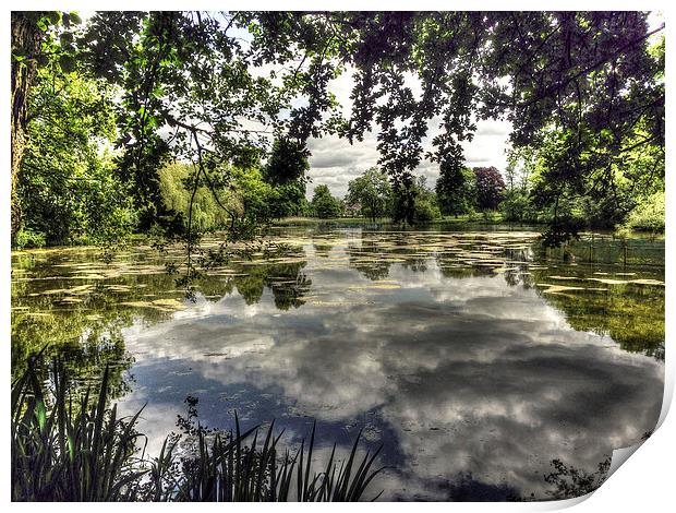 Reigate Priory Lake Print by Andy Huntley