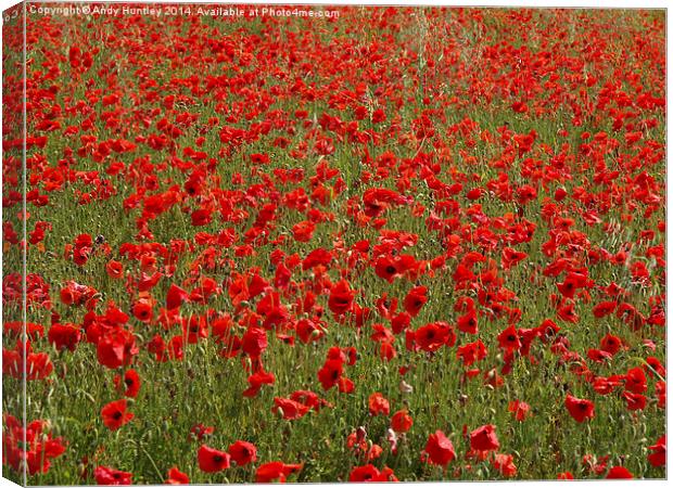 Poppy Field Canvas Print by Andy Huntley