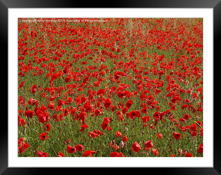 Poppy Field Framed Mounted Print by Andy Huntley