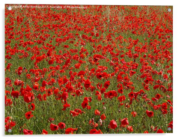 Poppy Field Acrylic by Andy Huntley