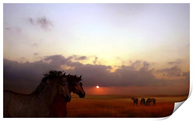 Wild ponies Print by Valerie Anne Kelly