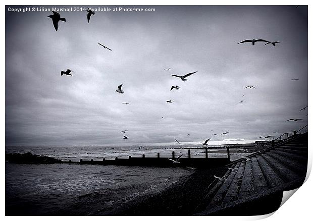 Seagulls at Cleveleys. Print by Lilian Marshall