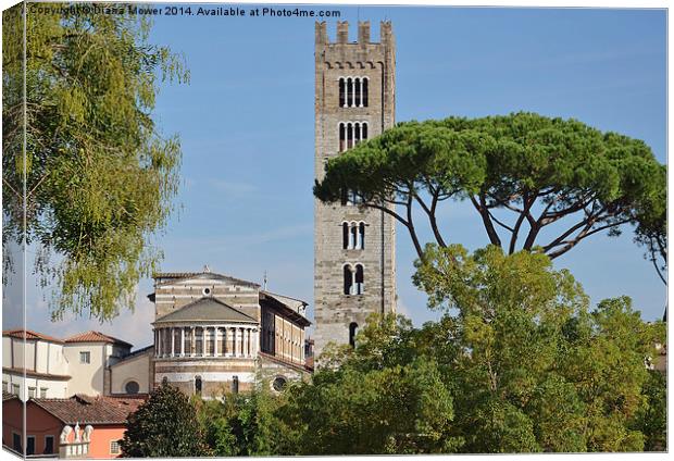 Lucca Tuscany Italy Canvas Print by Diana Mower