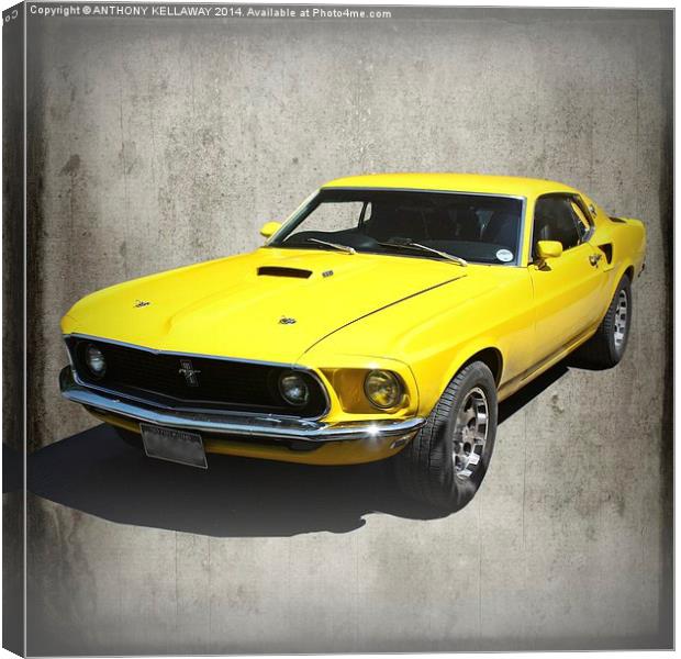 FORD MUSTANG 1969 Canvas Print by Anthony Kellaway
