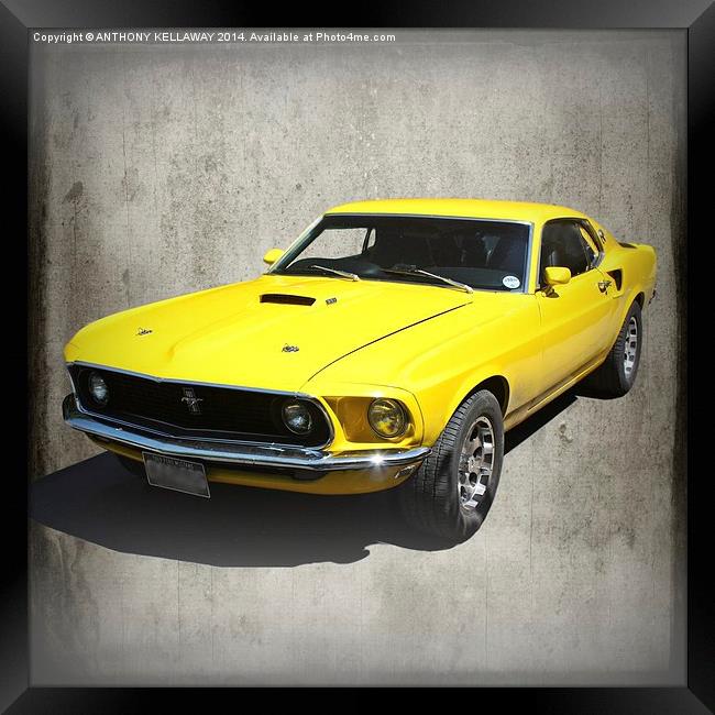 FORD MUSTANG 1969 Framed Print by Anthony Kellaway