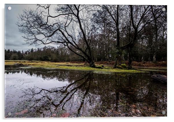 Pond at Millyford Bridge Acrylic by Phil Wareham