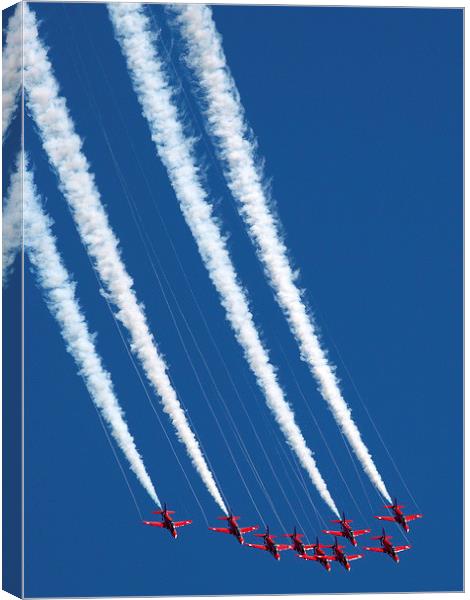 Formation Flying Canvas Print by Andy Huntley
