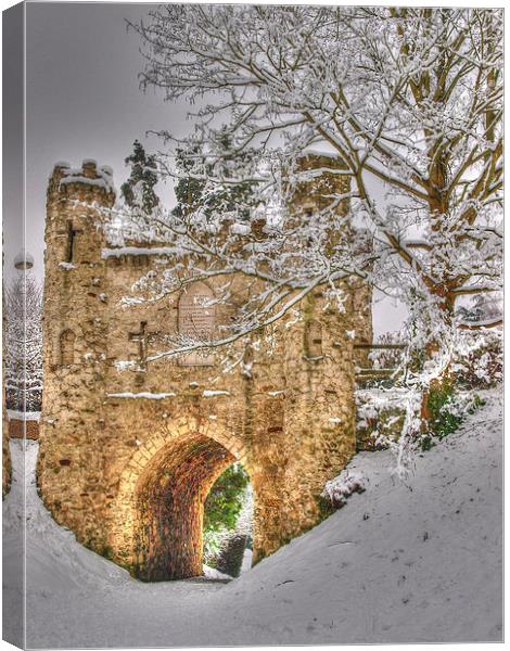 Reigate Castle Canvas Print by Andy Huntley