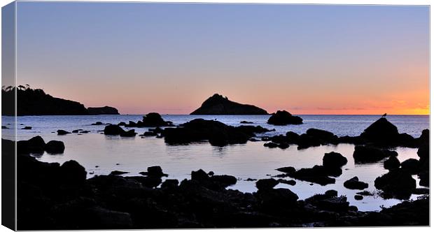 Low Tide Sunrise Meadfoot Beach Canvas Print by Rosie Spooner