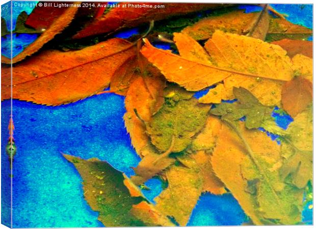 Autumn Leaves Under the Water Canvas Print by Bill Lighterness
