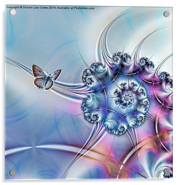 Butterfly Heaven Acrylic by Sharon Lisa Clarke