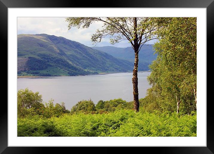 SCOTTISH VIEW Framed Mounted Print by Anthony Kellaway