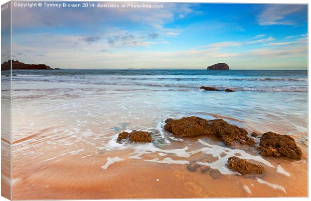 Bass Rock From Seacliff Beach, Scotland. Canvas Print by Tommy Dickson