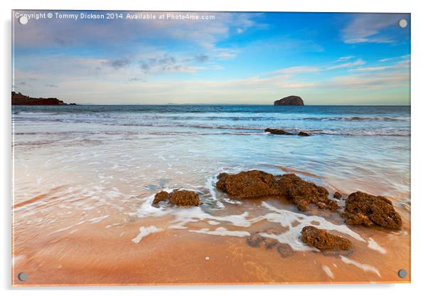 Bass Rock From Seacliff Beach, Scotland. Acrylic by Tommy Dickson