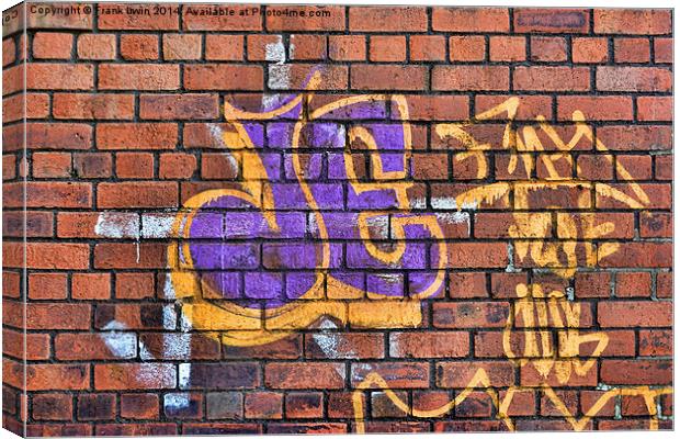 A  Sample of wall bound graffiti Canvas Print by Frank Irwin