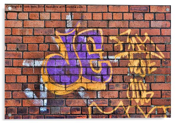 A  Sample of wall bound graffiti Acrylic by Frank Irwin