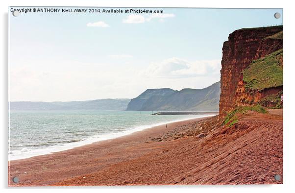 BURTON BRADSTOCK Acrylic by Anthony Kellaway