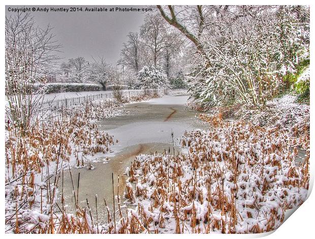 Frozen in Reigate Print by Andy Huntley